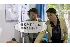 沧县企业清欠服务