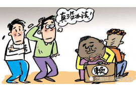 沧县贷款清欠服务