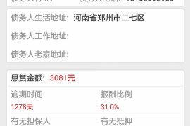 沧县融资清欠服务